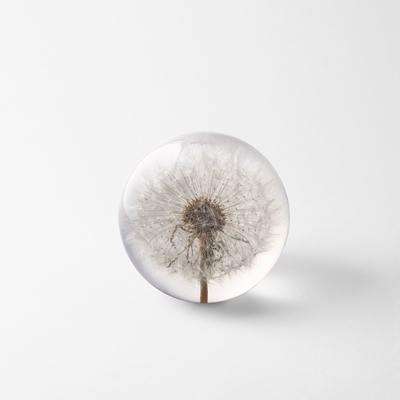 Paperweight Flora - Svenskt Tenn Online - Diameter 8 cm, Plastic, Dandelion