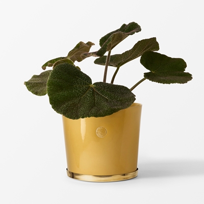 Pot Tolvekarna - Svenskt Tenn Online - Height 21,5 cm, Stoneware, Yellow, Erika Pekkari