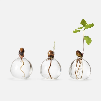 Vase Acorn | Svenskt Tenn
